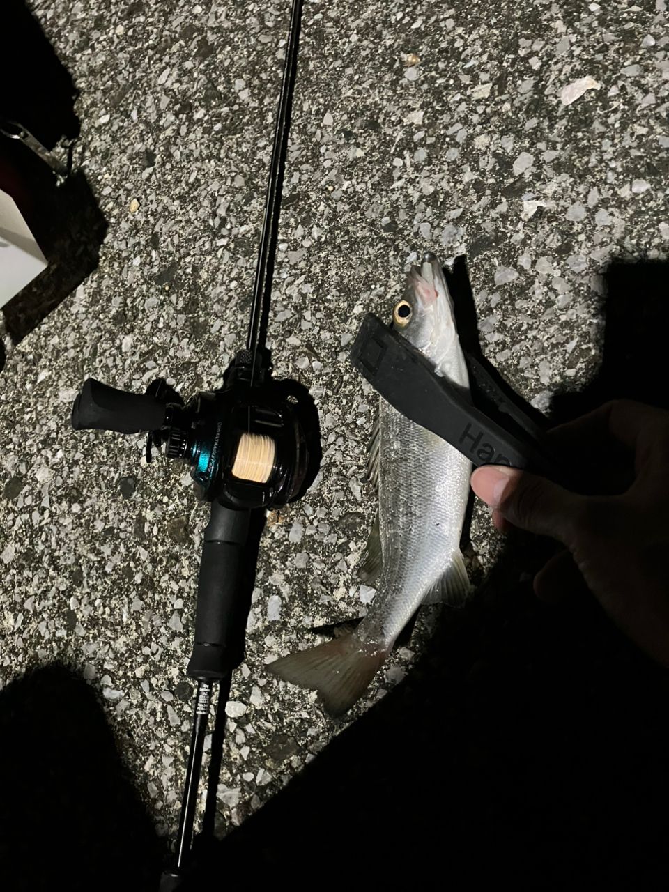 AbuGarcia ソルティーステージ プロトタイプ ベイトフィネス XAJC