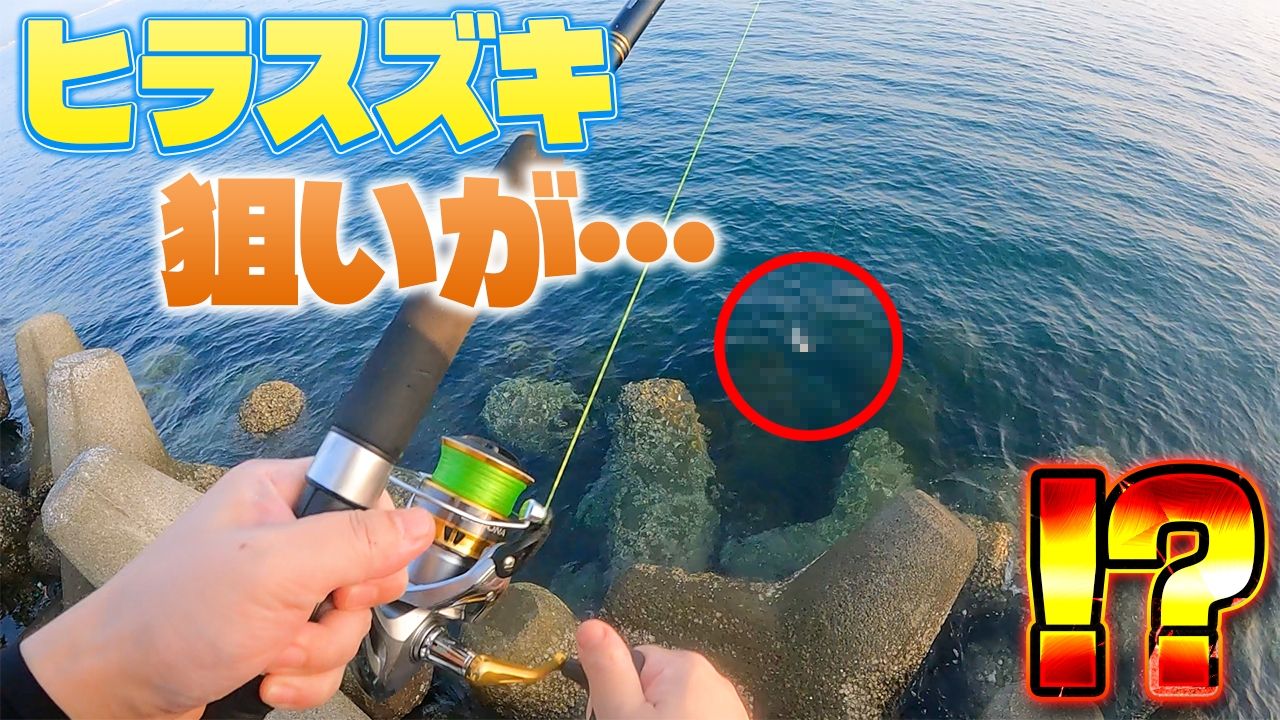 アジ