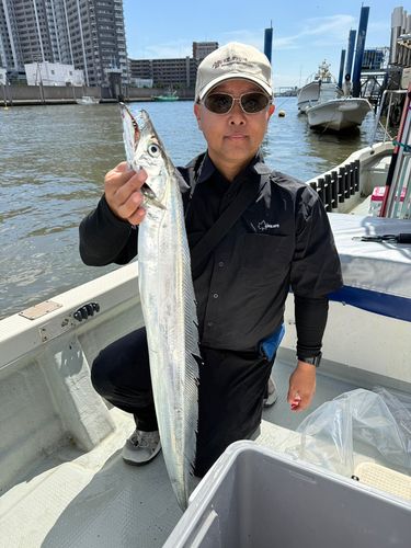 タチウオの釣果