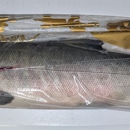 アキアジ