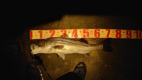 高梁川河口