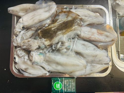 美保湾