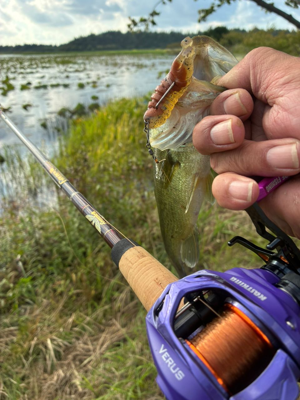 ラージマウスバス