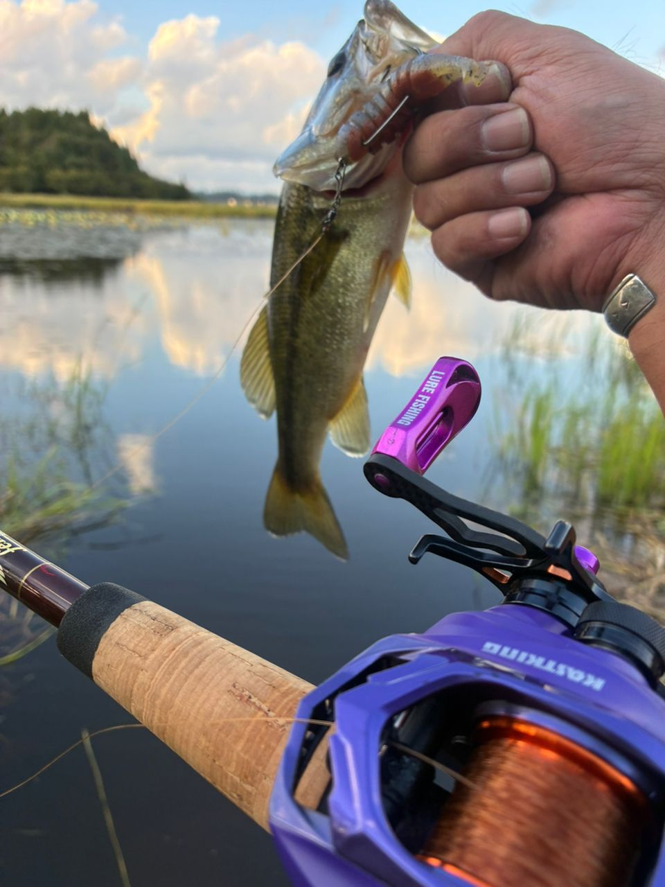 ラージマウスバス