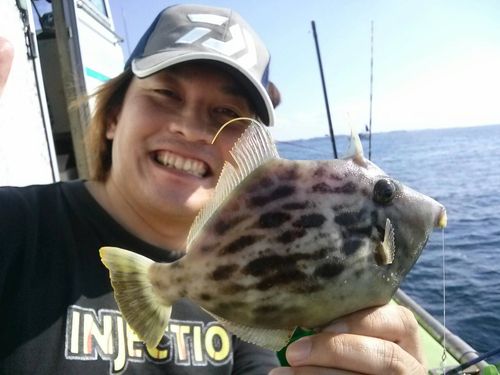 カワハギの釣果