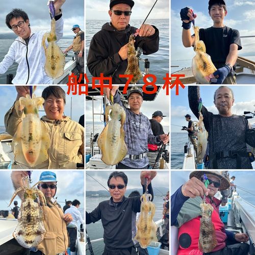 アオリイカの釣果