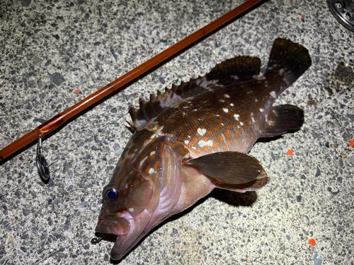 駿河湾