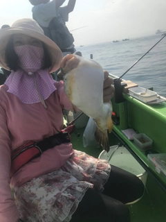 カワハギの釣果