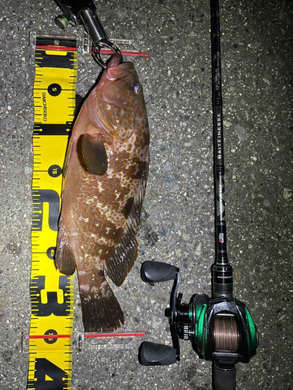 AbuGarcia ソルティースタイル ベイトフィネスカスタム STBC