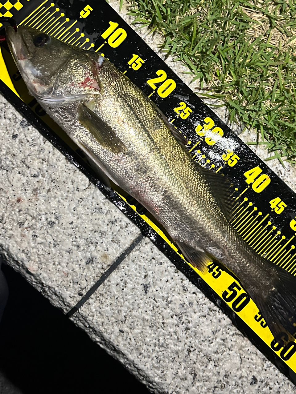 アピア フージンZ HIGH ROLLER 103ML Foojin'Z HIGH ROLLER 103ML フージンゼータハイローラー