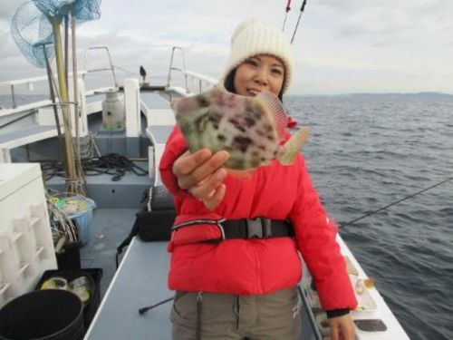 カワハギの釣果