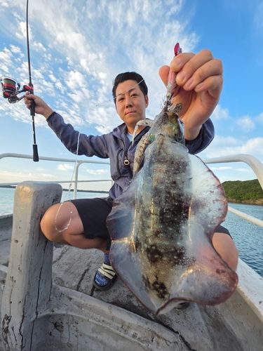 アオリイカの釣果