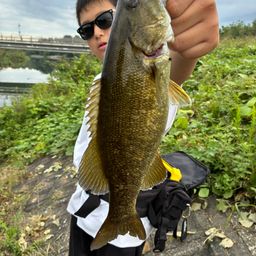 スモールマウスバス