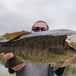 スモールマウスバス