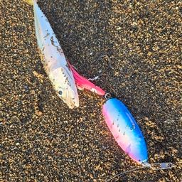 サバ