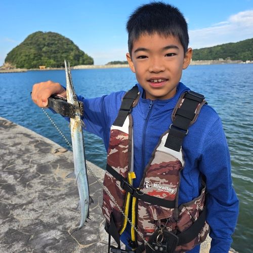 ダツの釣果