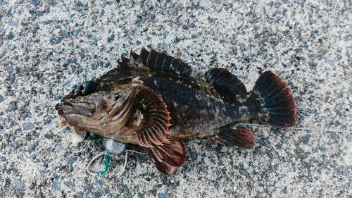 追波湾