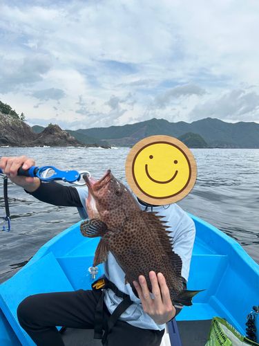 オオモンハタの釣果
