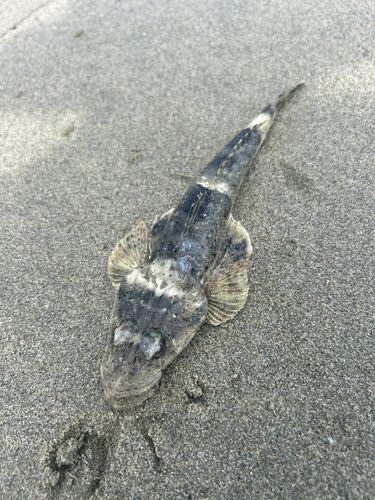 伊勢湾