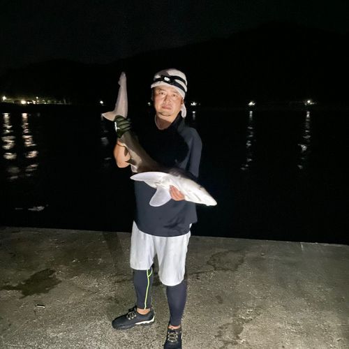 宇佐湾