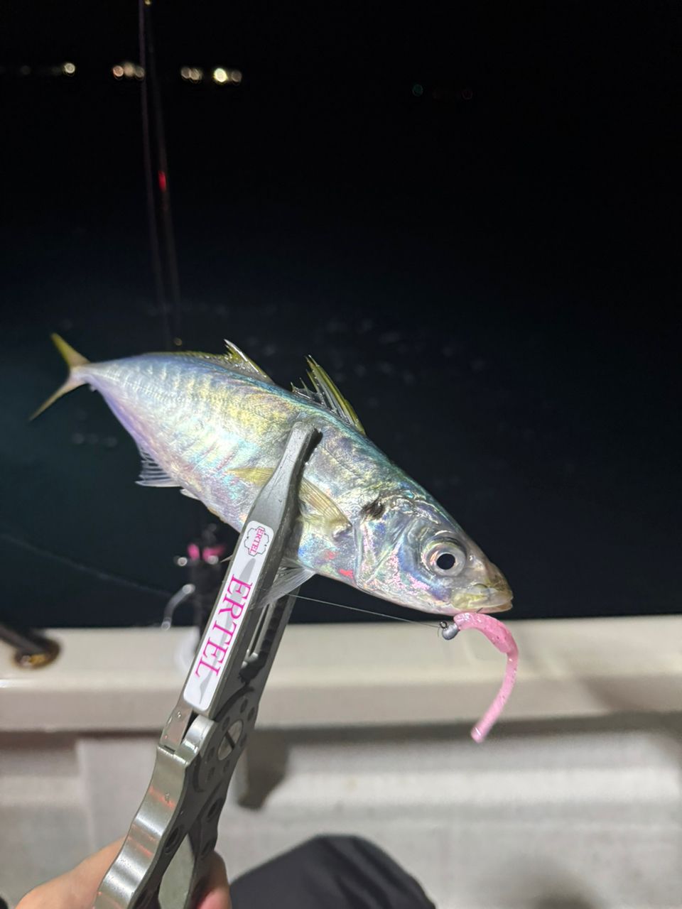 shin_mzd3さんの釣果 1枚目の画像