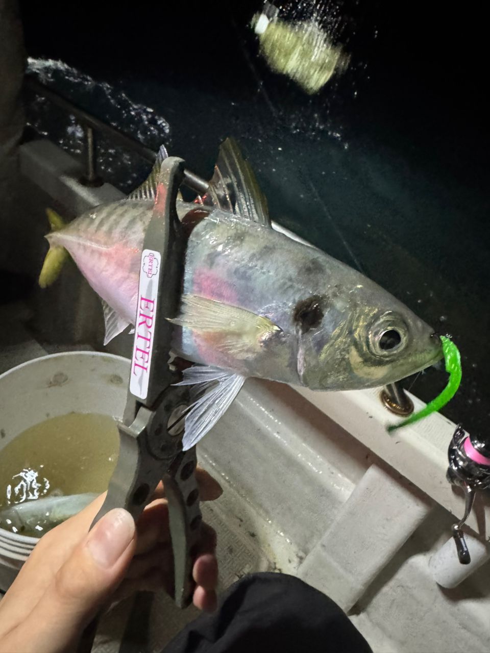 shin_mzd3さんの釣果 2枚目の画像