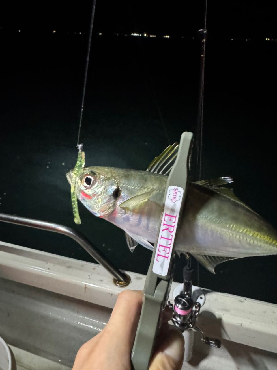 shin_mzd3さんの釣果 3枚目の画像