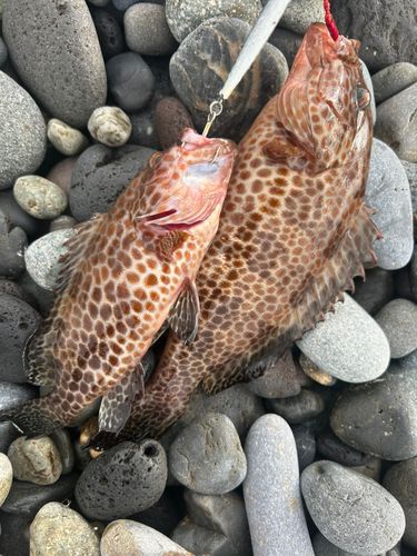 片浜海岸