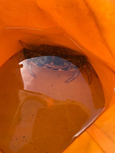 小名浜港アクアマリンふくしま周辺