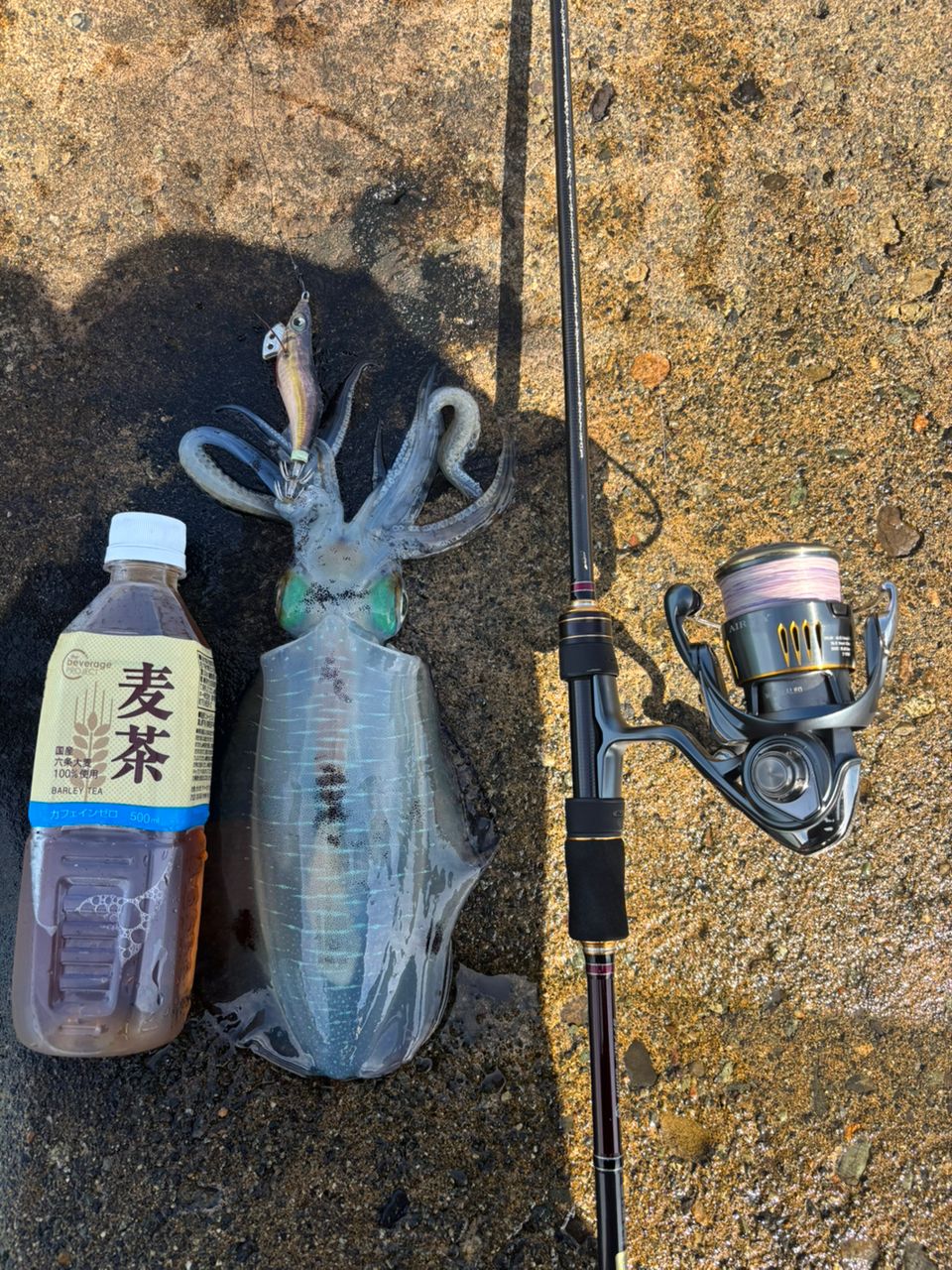 Gamakatsu 23ラグゼ EG X アルティメイト S77ML+-solidの最安値