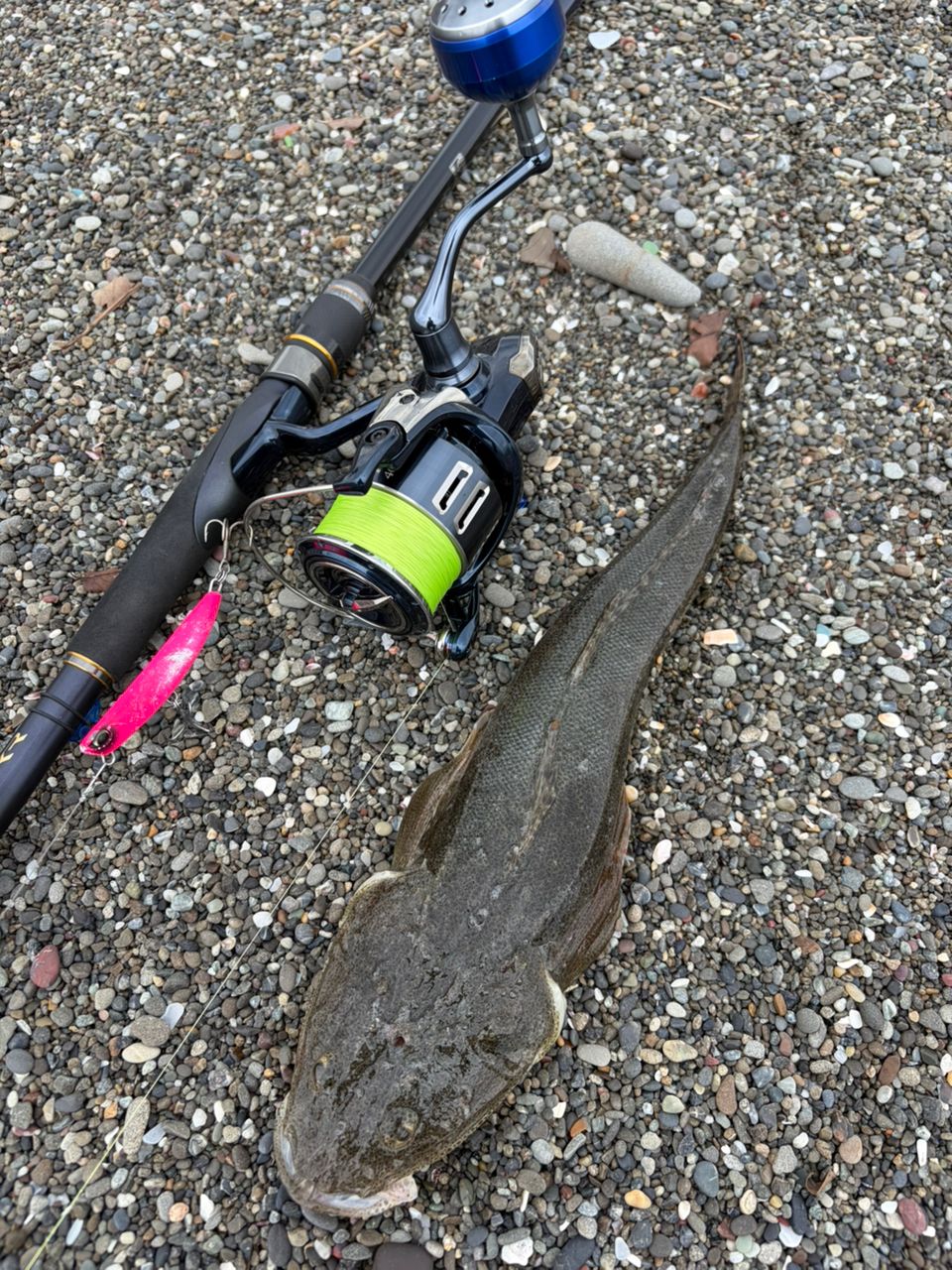 美品 22ネッサXR S110MMH SHIMANO 22ネッサXR S110M/MHの最安値・インプレ・釣果 | 本音の
