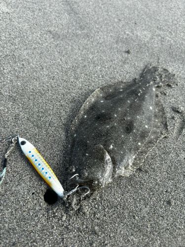 大倉戸海岸