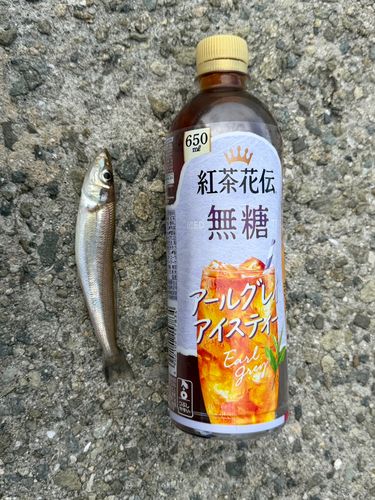 洲本港