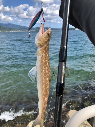 宮津湾