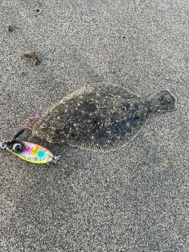 釣果