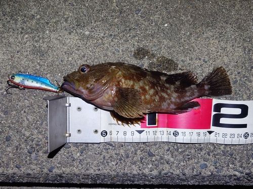 表浜名湖