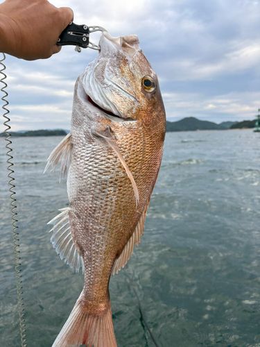 しまなみ海道