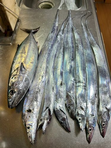 鹿児島湾北部