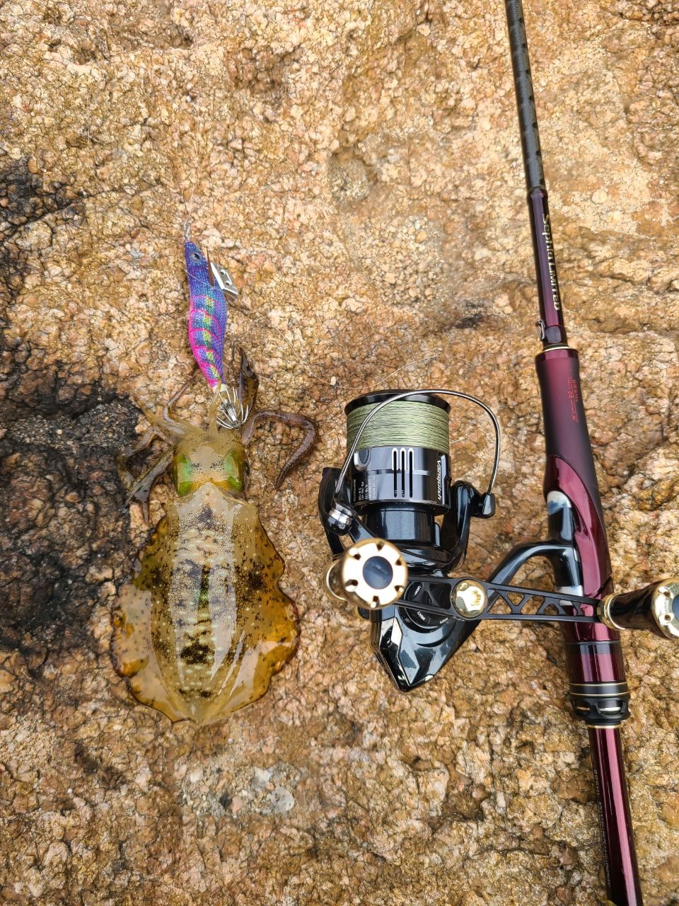 エックスブレイド(X-Braid) ロンフォート リアルデシテックス WX8