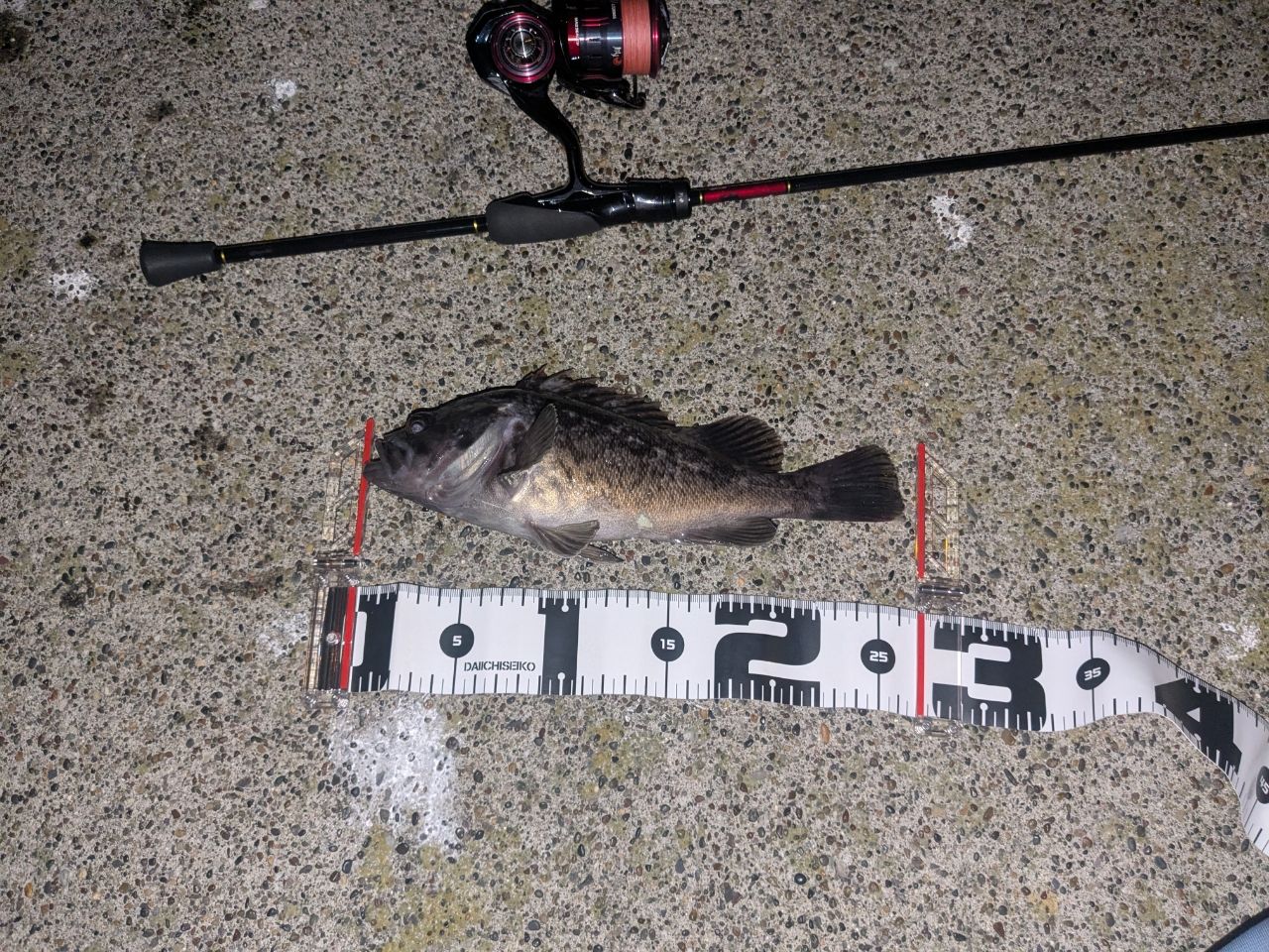 ☆FEEL★ DAIWA 23月下美人AIR MEBARU 68L-T Amazon.co.jp: ダイワ(DAIWA) 月下美人 MX・N 68L-S・N