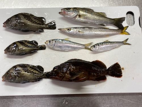 若洲海浜公園海釣り施設