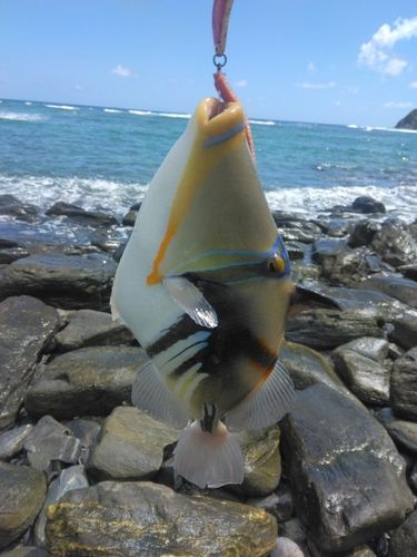 沖縄本島北部