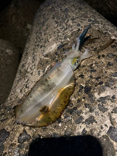 明石海峡