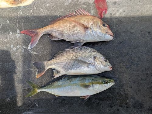 播磨灘