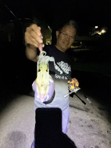 敦賀湾