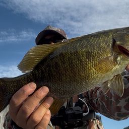 スモールマウスバス