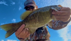 スモールマウスバスの釣果