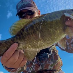 スモールマウスバス