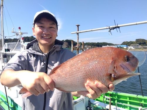 マダイの釣果