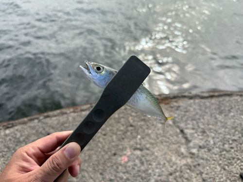 泉佐野食品コンビナート